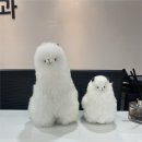 발산정형외과의원 이미지