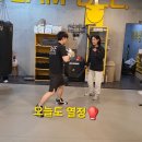 다사복싱체육관 이미지