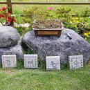 강여울 숲 이미지