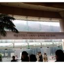 토요바이올린A 이미지