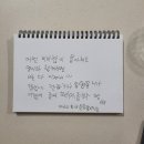 ㅃ)오늘이 왼손잡이의 날이라면서요! 이미지