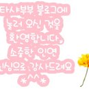 미샤모래내
