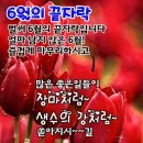 서후 이미지