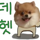 콩이 이미지