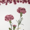 디자인 글꽃
