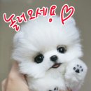 부킹7080라이브 이미지