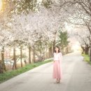 백구소공원 이미지