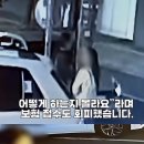 태평약국 뉴스1