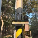 아름다운강산 | 부여 성흥산성 사랑나무, 아름다운 인생 사진 찍은 후기 (가는 방법, 가림성, 꿀팁 정보)