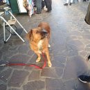 플로리안(3) 이미지