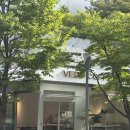 베로커피 | 공덕역 대흥역 카페 베로커피 후기 경의선숲길 산책과 함께 커클 어플로 즐긴 합리적인 커피