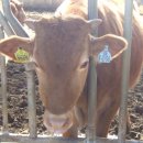 청정환경사업소 이미지