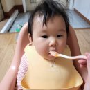 웰건 - 포천시 | 건조야채로 이유식 편하게! 웰건 야채믹스 먹여본 후기
