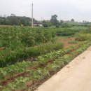 봉담농장 이미지