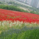 한경대학교부속농장 이미지