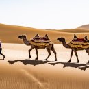 외대통대 외국어번역행정사사무소 이미지