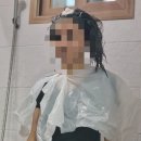 타로카페벗 | 급류처럼 갑작스레 함께 방학에 '빠질' 수 있어서 정말로 고마웠어요 (무릎을 꿇고 환대하며...)