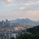 경보행정사 이미지