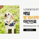 뉴본동물의료센터 이미지