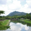 포레드노드 이미지