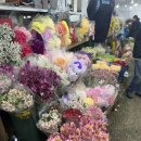 꽃며느리 | 💍 양가 부모님 인사 선물 &amp; 식당 추천 | 남대문꽃시장 <에덴화원>, 롯데백화점 경기떡집, 마곡 상해루...