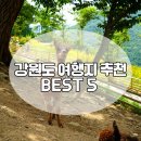 강원도 여행지 추천 청량했었던 BEST 5