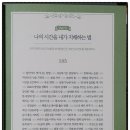 별빛백도 이미지