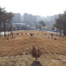 화릉군묘 이미지