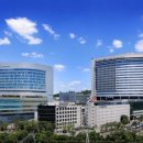 신촌연세병원 마니아타임즈