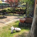 가비가배 이미지