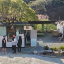 송이 초심정 이미지