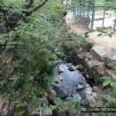 가야1동-18 이미지