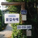 꿈길속에펜션