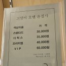 고양이호텔 윤집사 네이버블로그