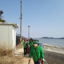 교동면-6 이미지