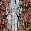 가사문학초등학교 이미지