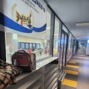 태풍태권도 | 권선동 세류동 태풍태권도 후기/ 5세, 6세, 7세 유치부