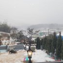 손빚 이미지