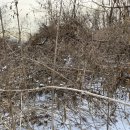 주원헬스케어 이미지