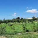 오원농장 이미지