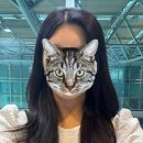 더함헤어 - 전주시 완산구 용호로 125 | 문정동미용실 레이어드컷 더함헤어스튜디오 후기