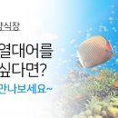 제주열대어양식장