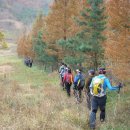 불재농장 이미지