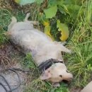 강릉대관령(강릉)휴게소 이미지