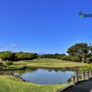 크라운CC 이미지