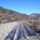 향원농장 이미지