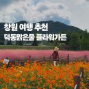 (주)맑은교통 | 창원 여행 추천 덕동맑은물 플라워가든 주차 위치 개화상황 총정리