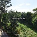 사계비전공인중개사사무소 네이버블로그