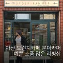 분더펫 | 아산 카페 리빙샵 분더카머 아포가토 맛집이네요