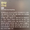 선농단 역사 문화관과 한의약 박물관 탐방-3 이미지